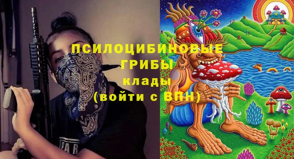 ГАЛЛЮЦИНОГЕННЫЕ ГРИБЫ Бронницы